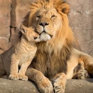 Meet your Posher, Paula